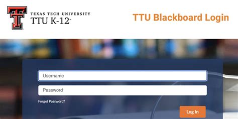 bnu blackboard|ttu blackboard login.